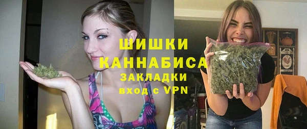индика Бугульма