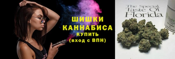 дурь Бронницы