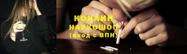 сатива Богородицк