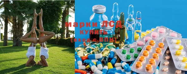 мяу мяу мука Богданович