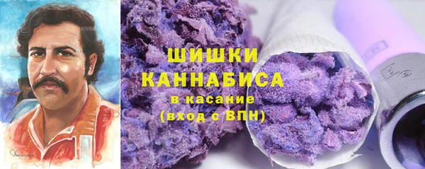 индика Бугульма