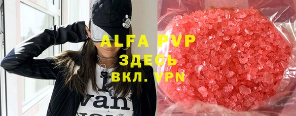 индика Бугульма
