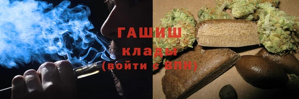 индика Бугульма