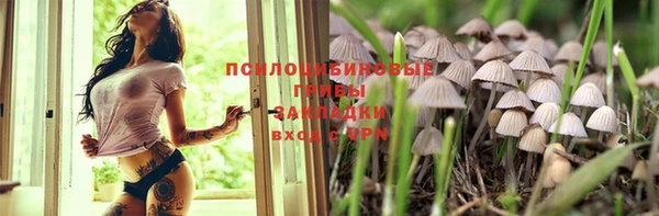 сатива Богородицк